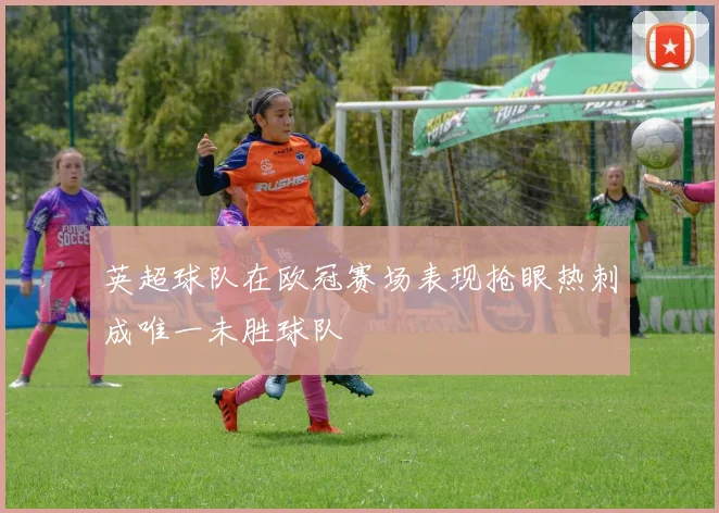 英超球队在欧冠赛场表现抢眼热刺成唯一未胜球队