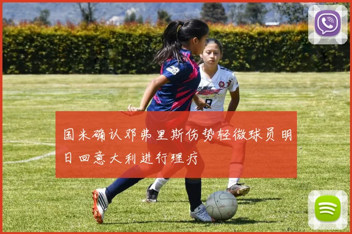 国米确认邓弗里斯伤势轻微球员明日回意大利进行理疗