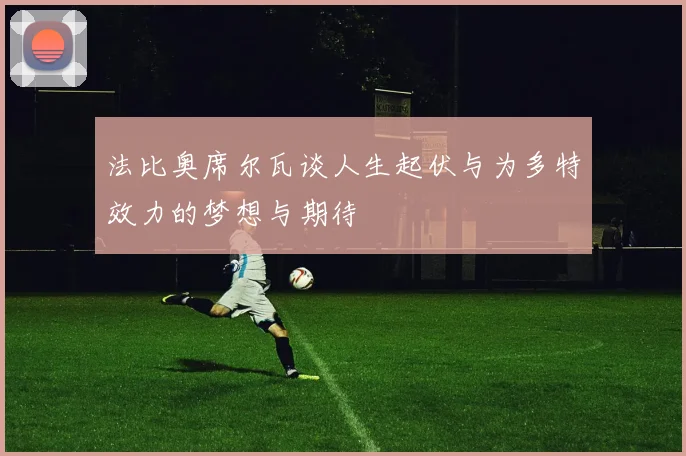 法比奥席尔瓦谈人生起伏与为多特效力的梦想与期待